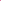 Tapete Para Sala 1,50 x 1,00 Pink - Verona Decor