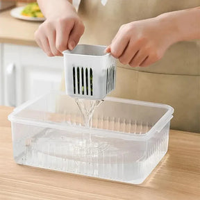 Caixa Organizadora Plástica com 6 Divisórias - Verona Decor - VERONA DECOR