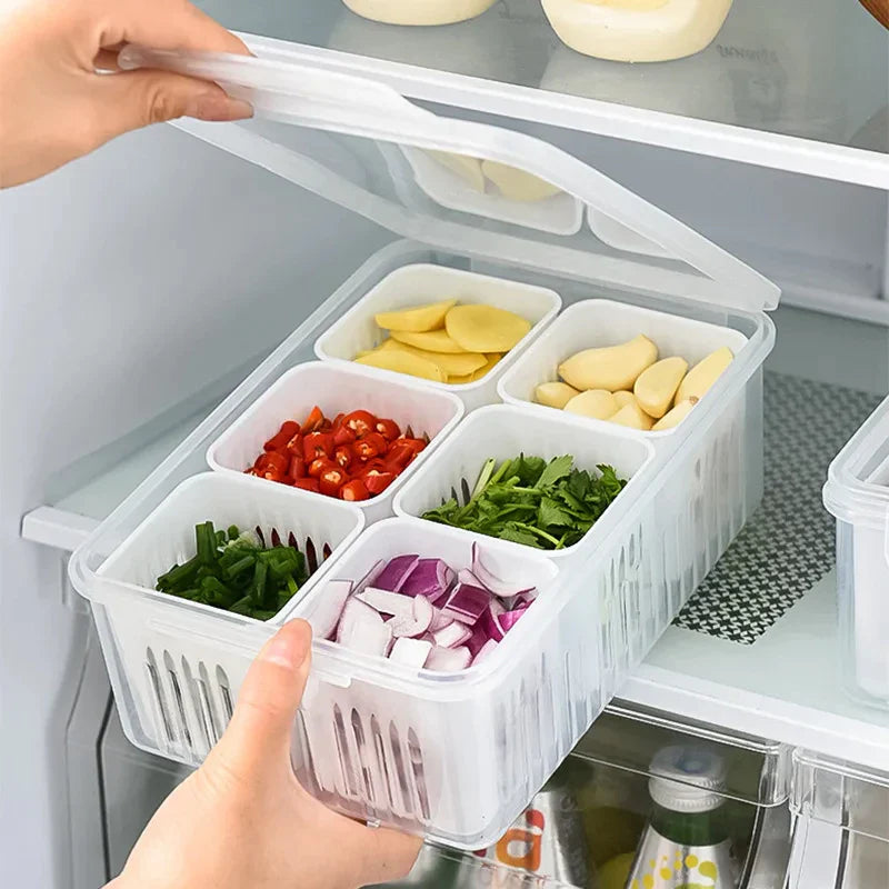 Caixa Organizadora Plástica com 6 Divisórias - Verona Decor - VERONA DECOR